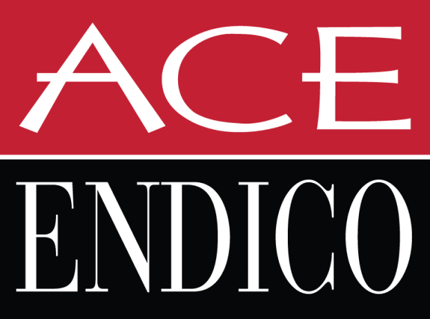 Ace Endico logo