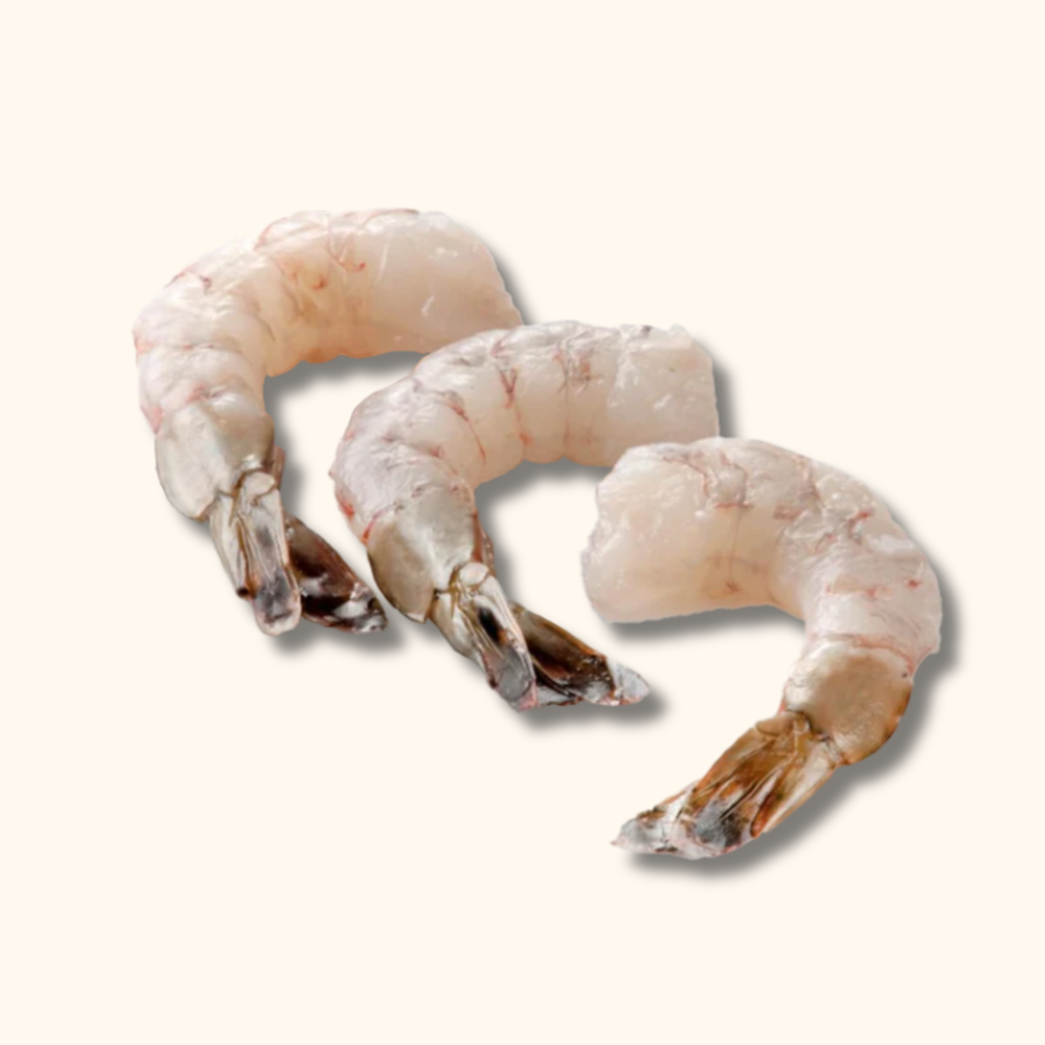 INDIGO ECUADORIAN SHRIMP 309145